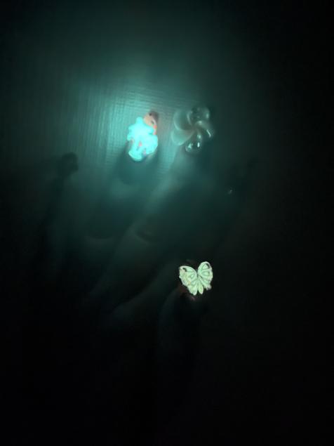 {Photo02}