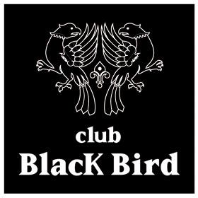 ＢＬＡＣＫ ＢＩＲＤの画像